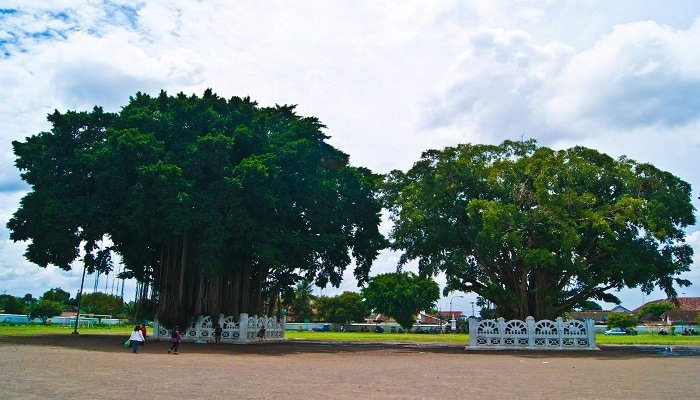 Alun-Alun Kidul